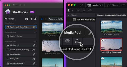 Davinci Resolve 共享云文件夹功能